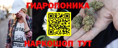 МДПВ Лесосибирск