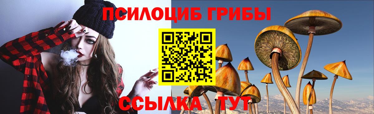 Тында  Псилоцибиновые грибы мицелий  Галлюциногенные грибы GOLDEN TEACHER  Вход с VPN 