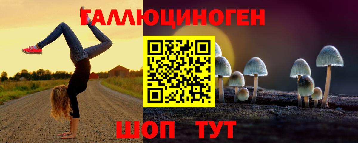 Псилоцибиновые грибы мухоморы Тында